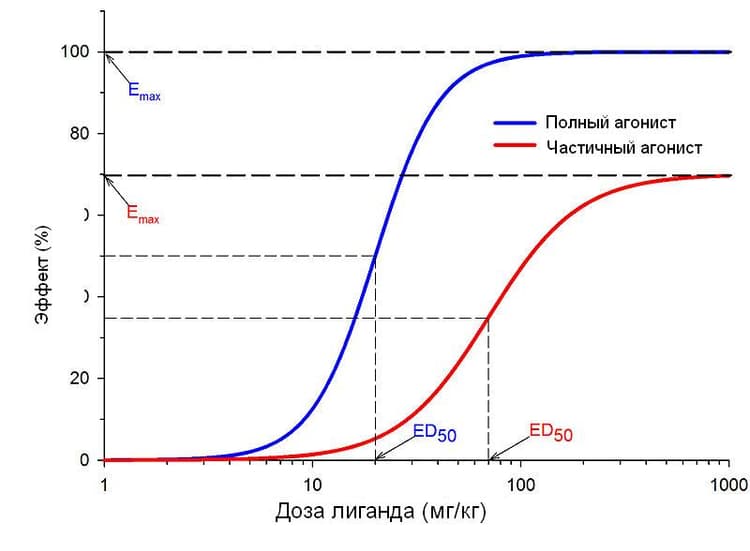 Hillkurvor för ligander med olika potens, maximal effekt och branthet.