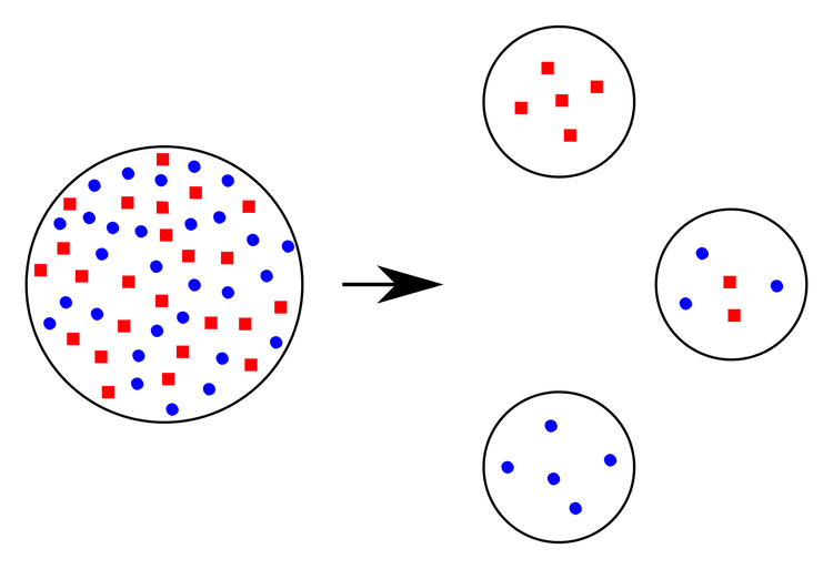 Schematisk bild av en stor källpopulation och flera små grundarpopulationer med avvikande fördelning av två genetiska varianter.