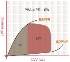 Tryck–volymdiagram där slagarbete och potentiell energi tillsammans bildar PVA.